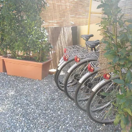 La Rondine Tra Pisa E Lucca * San Giuliano Terme