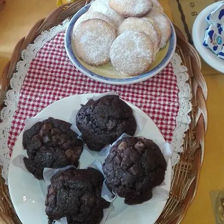 La Rondine Tra Pisa E Lucca *