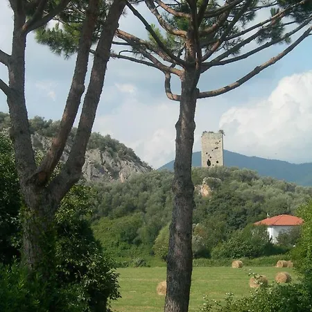 La Rondine Tra Pisa E Lucca
